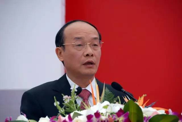 天一集团董事长_国岳集团董事长图片