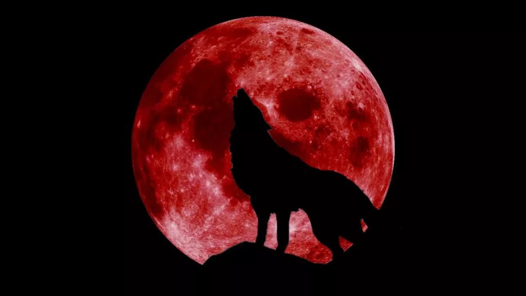 极罕见天文奇观"超级狼血月"本周末将现身美国!
